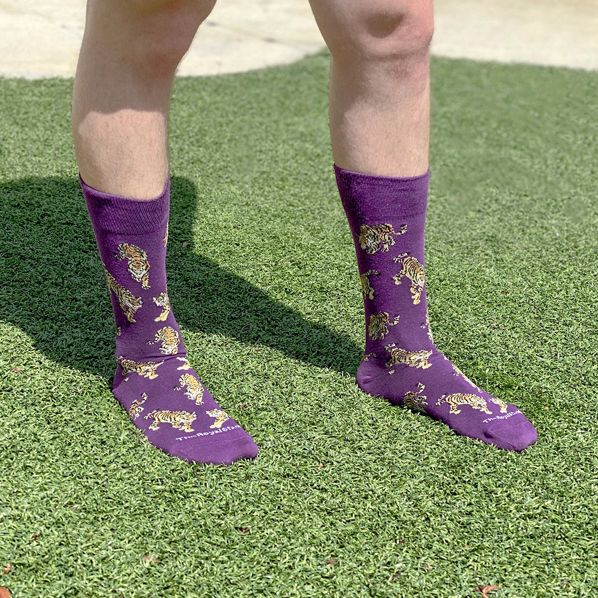 Men's Socks Purple Go Get Em Tiger