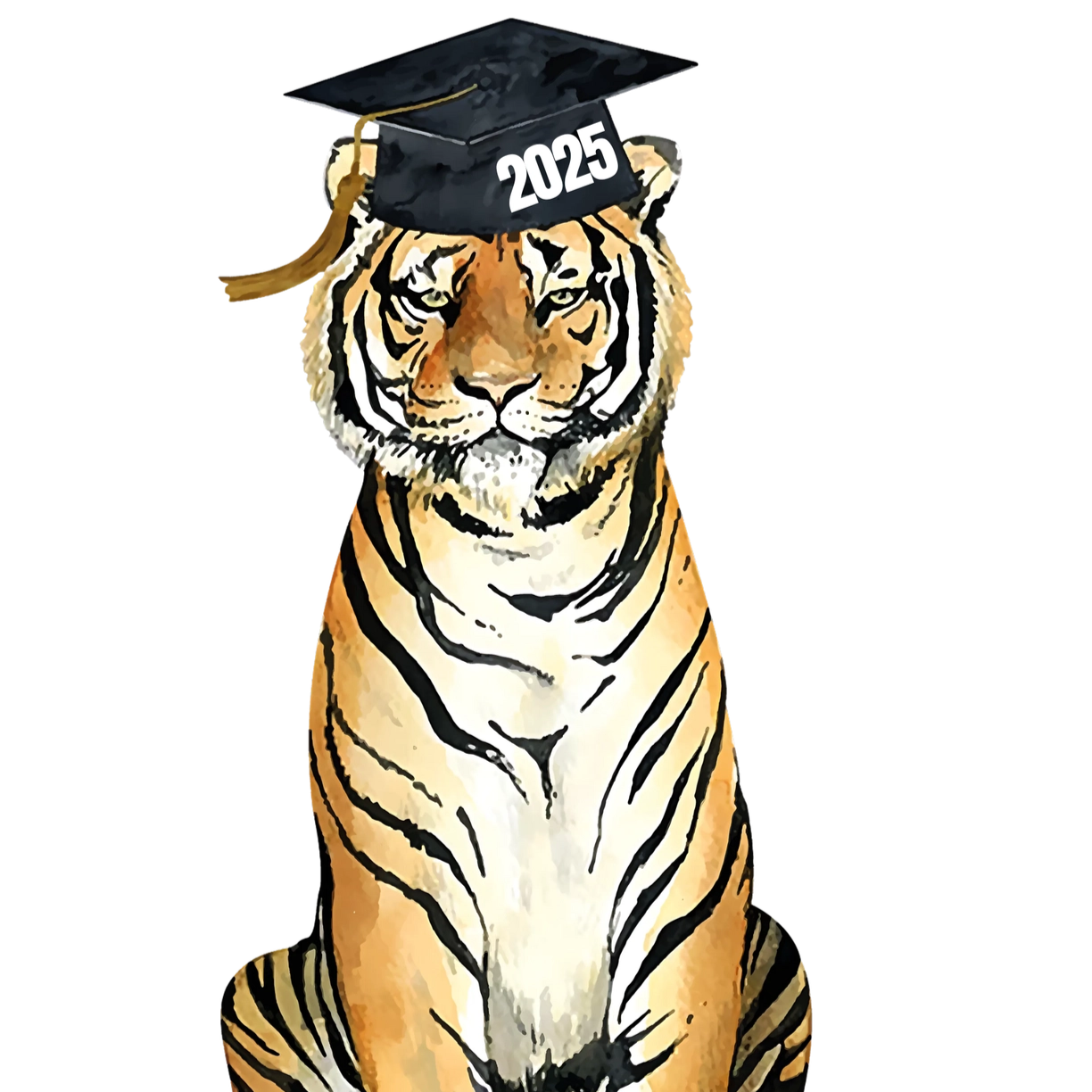 Yard Sign 2025 Graduation Tiger